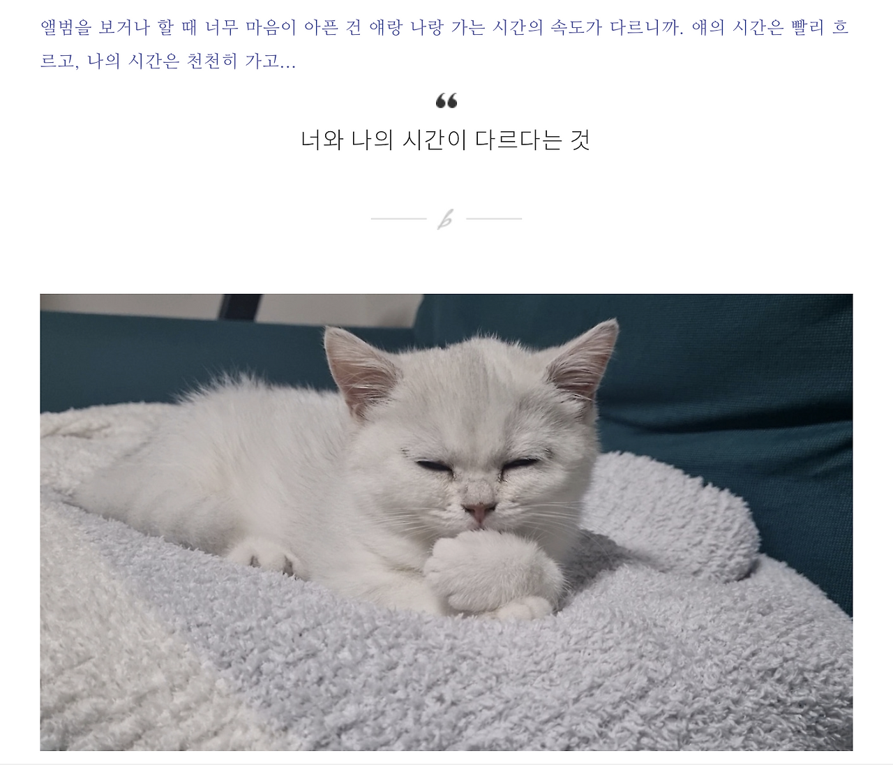 스크린샷 2024-04-28 오후 10.24.57.png