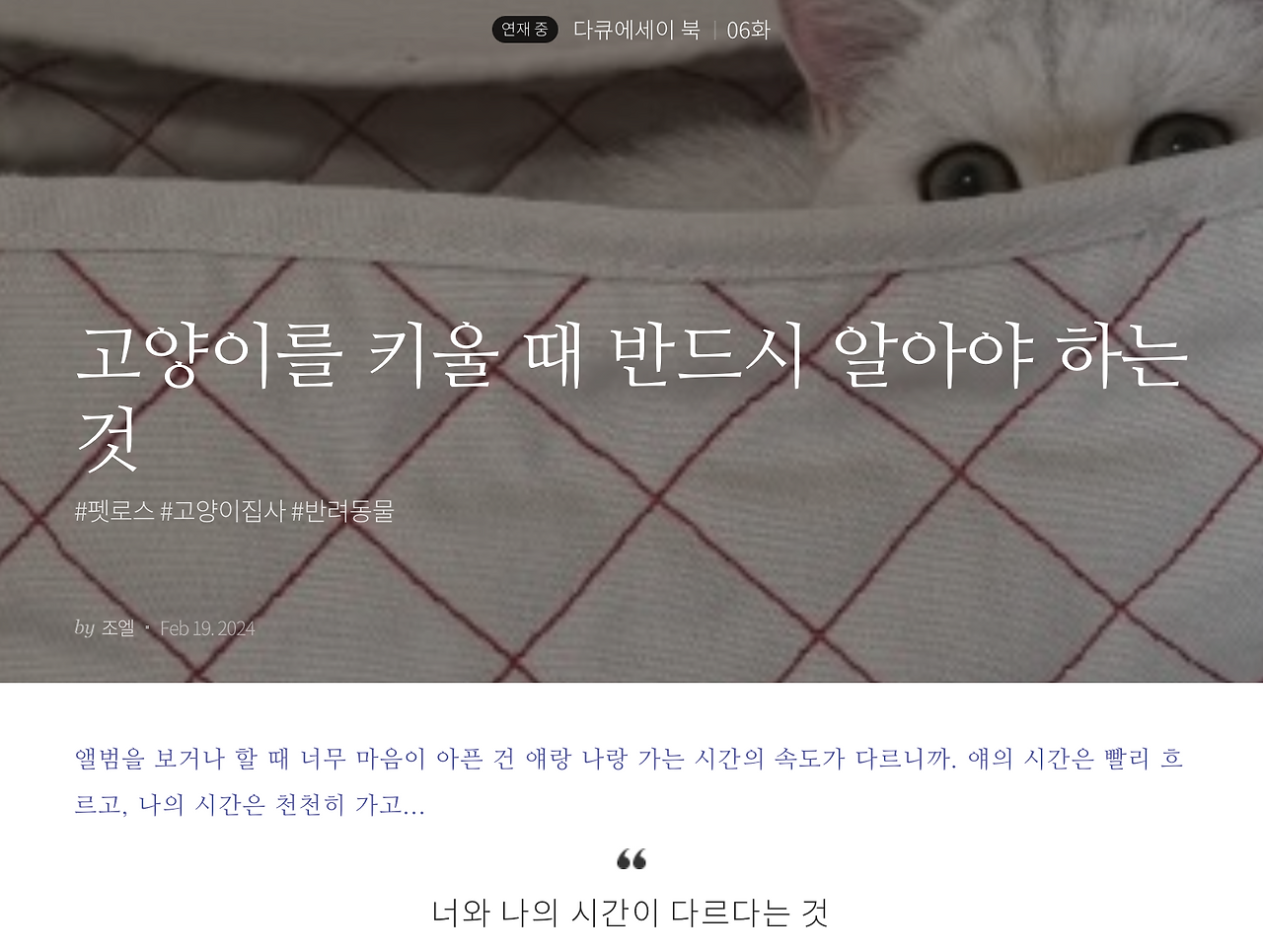 스크린샷 2024-03-18 오전 7.02.29.png