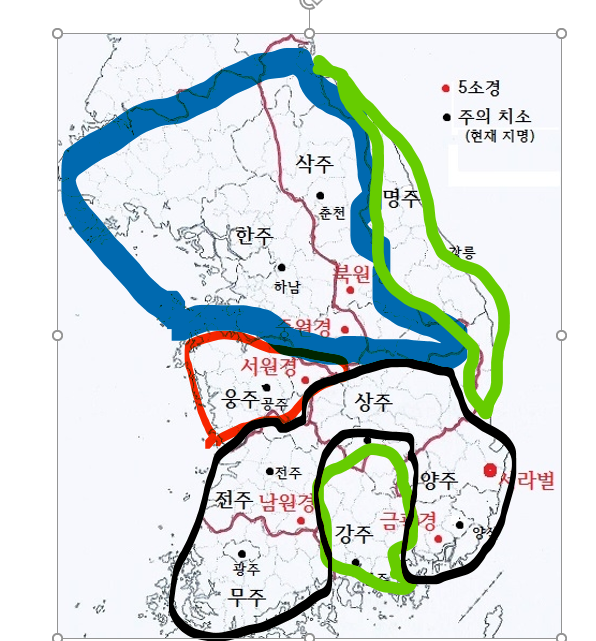 9주 지명 생존율.png