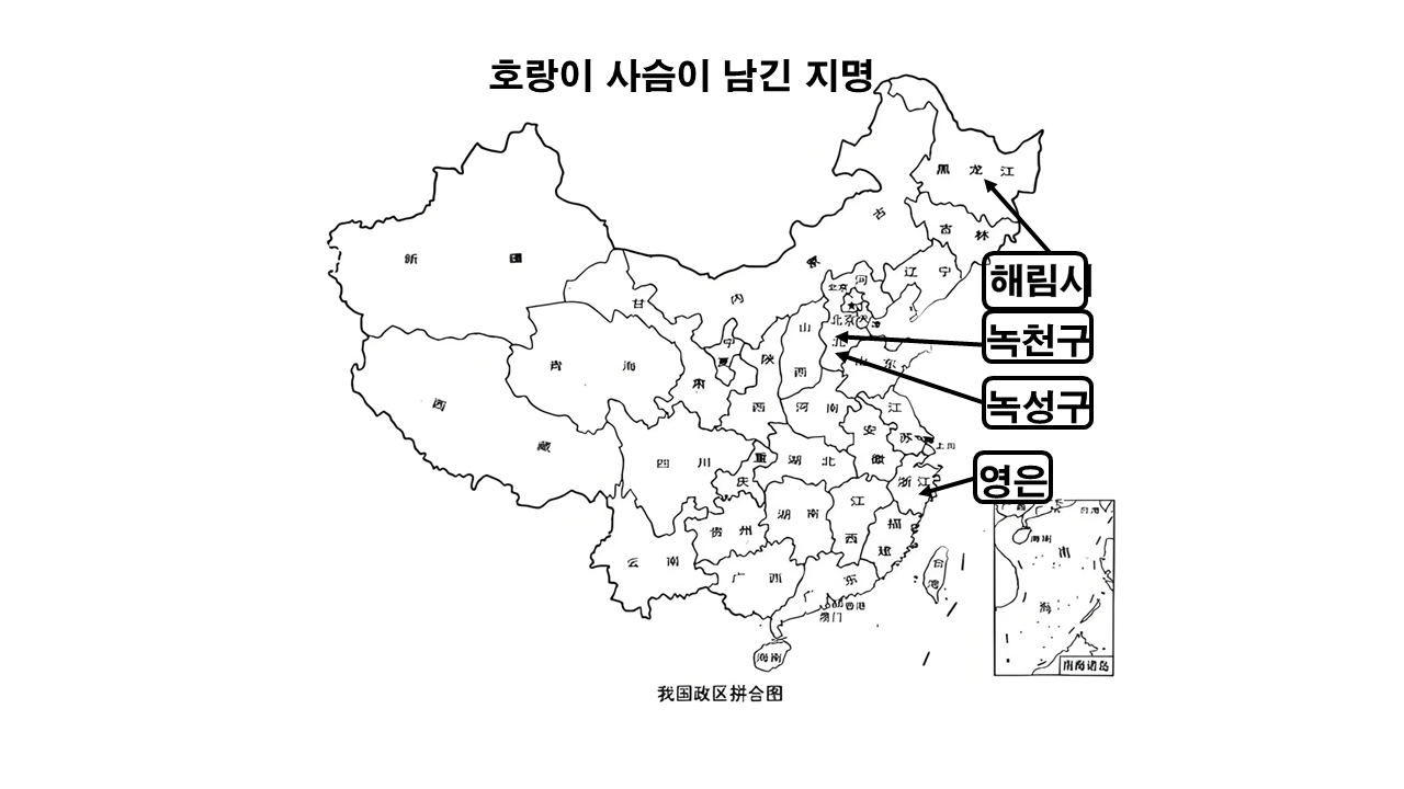 호랑이 지명.png