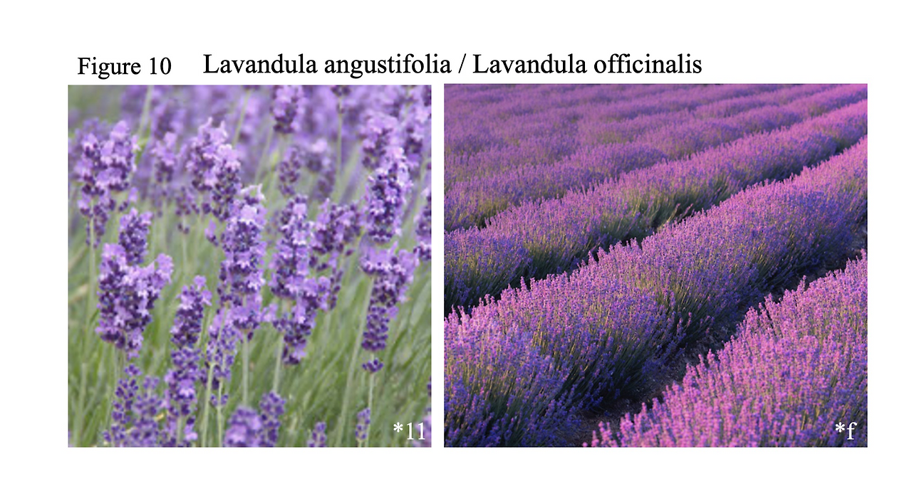 스크린샷 2023-11-13 오후 4.38.59.png