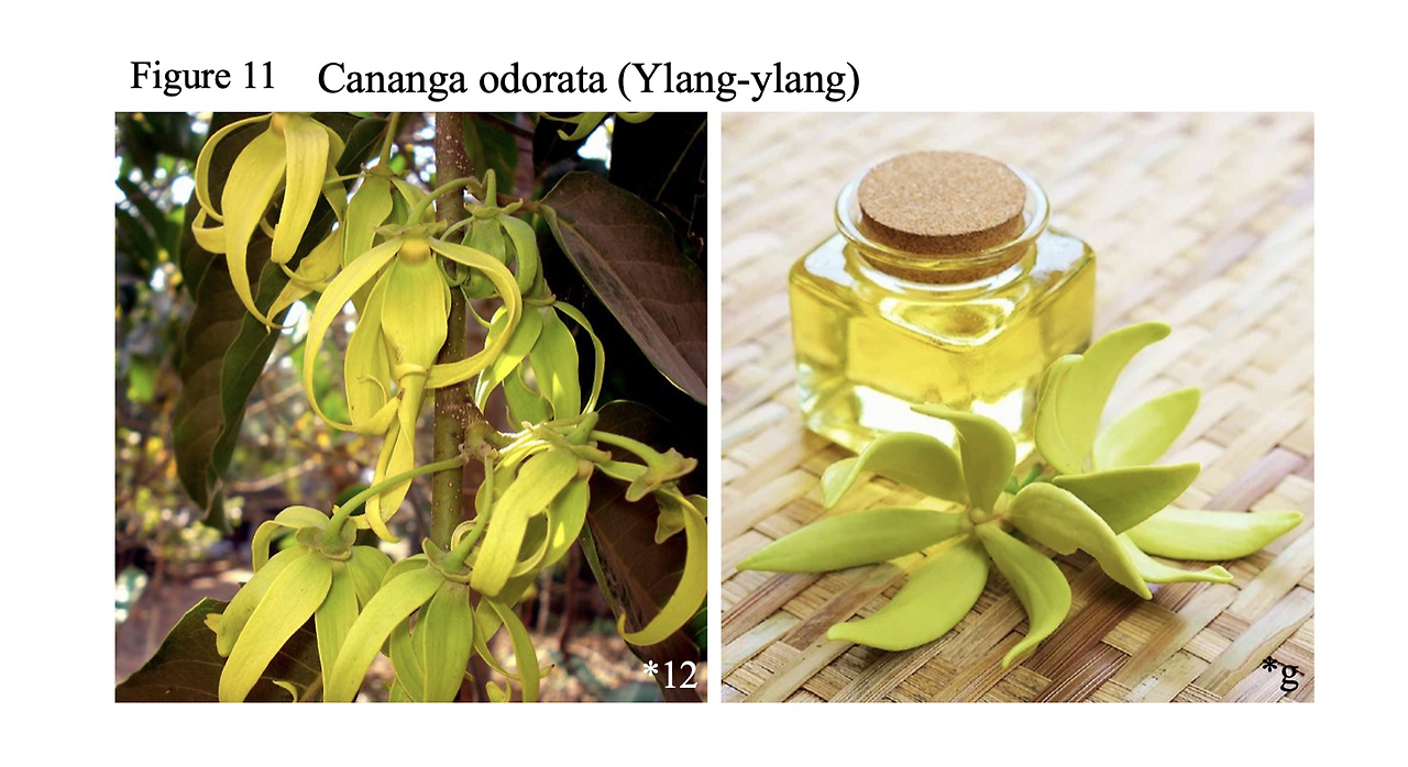 스크린샷 2023-11-13 오후 4.39.04.png