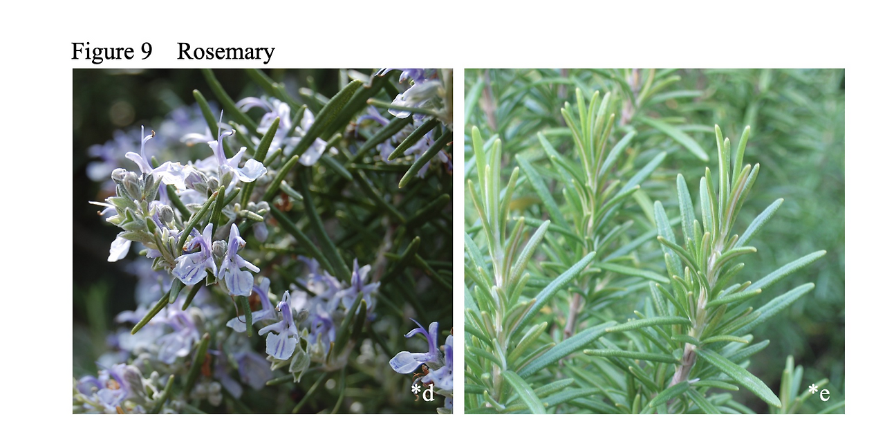 스크린샷 2023-11-13 오후 4.38.53.png