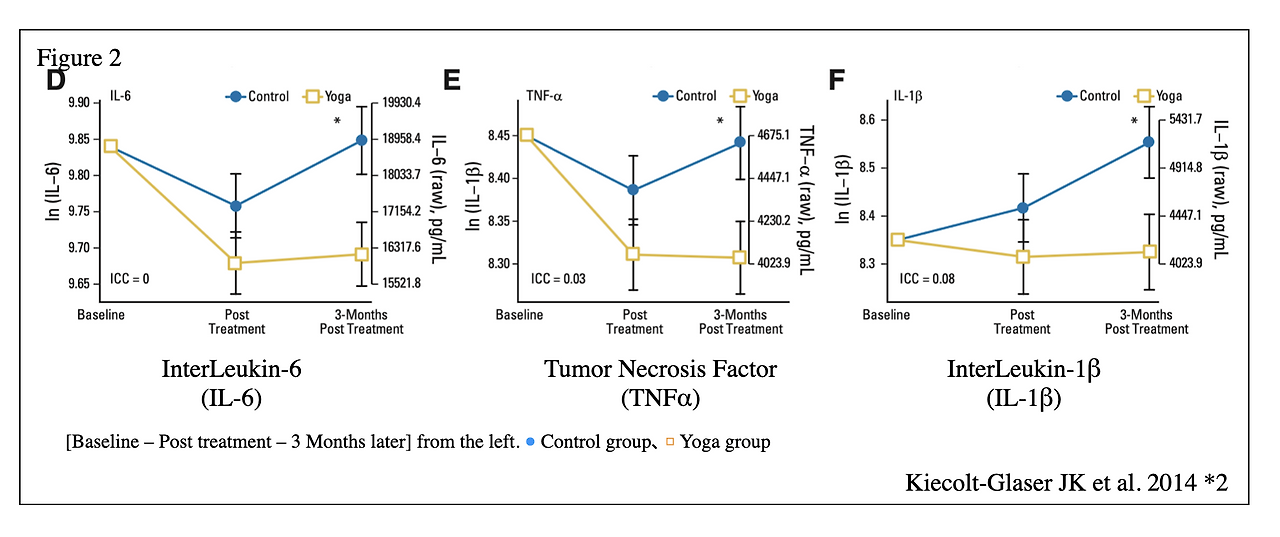 스크린샷 2023-11-02 오후 12.19.18.png