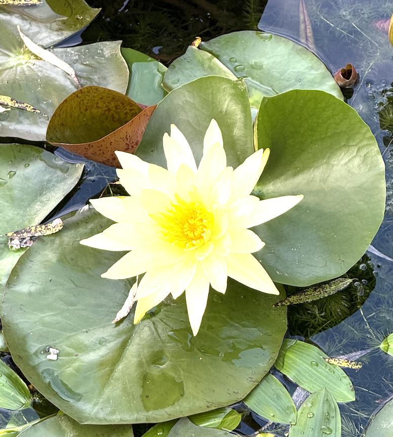 스크린샷 2025-10-09 오후 11.55.39.png