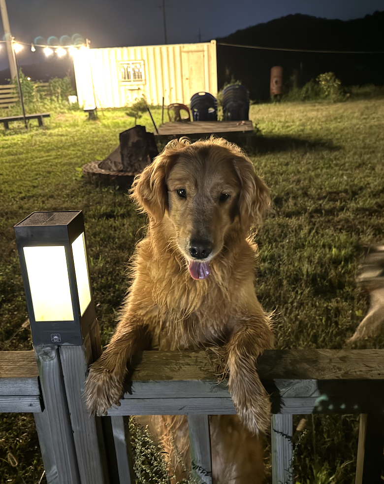 스크린샷 2025-10-09 오후 11.40.06.png