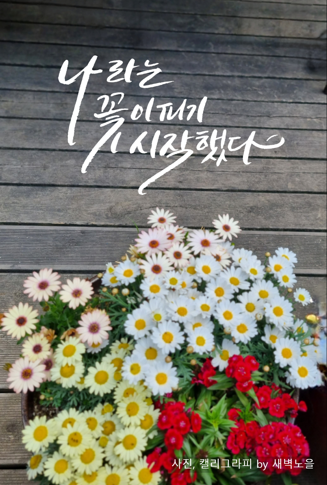 ★1봄 나라는꽃이피기시작했다.png