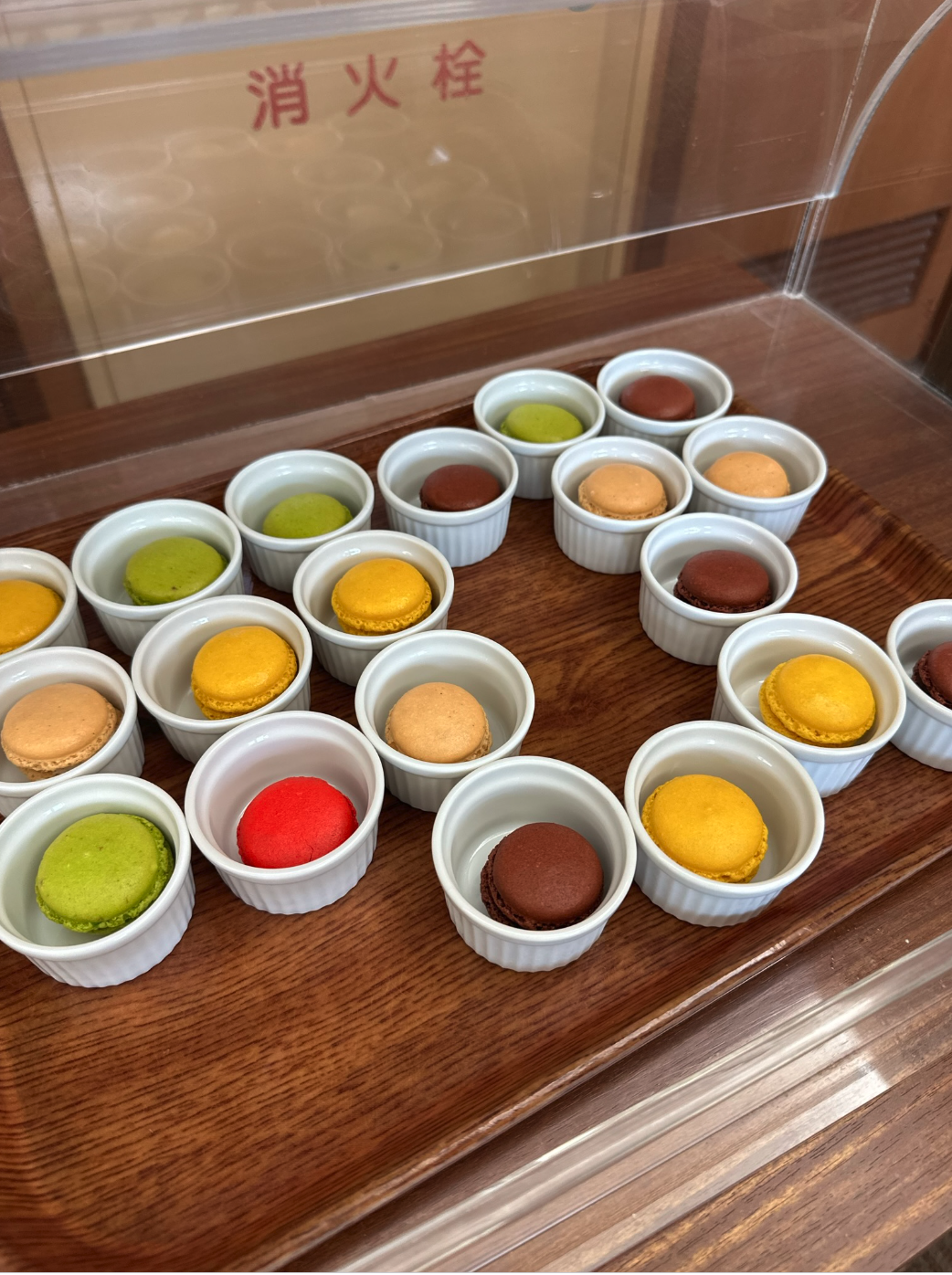 Screenshot 2024-10-14 at 7.51.34 AM.png