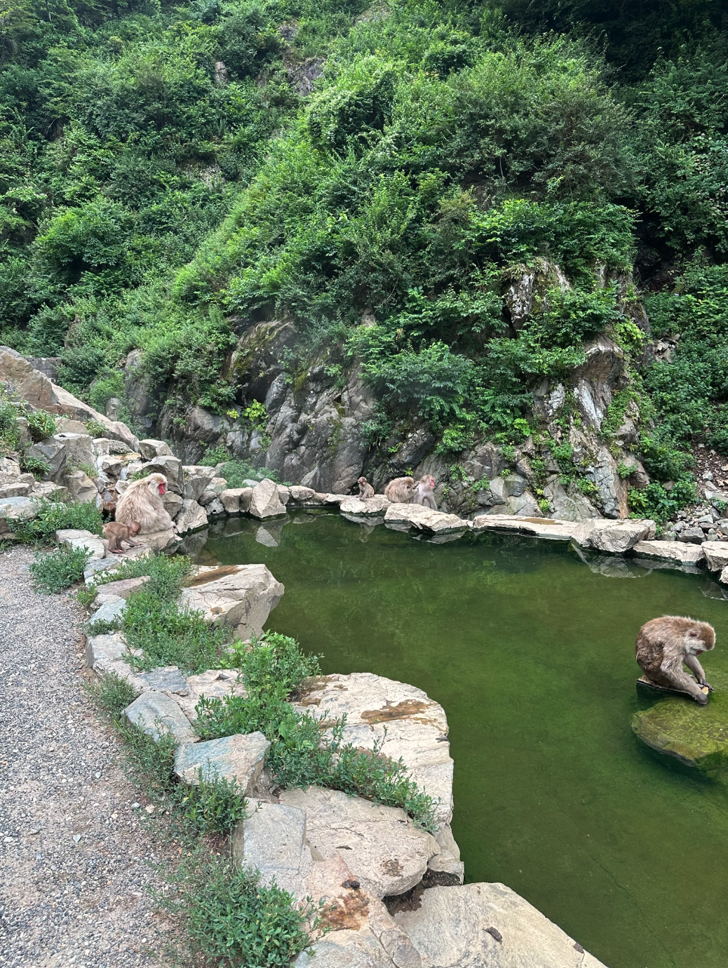 Screenshot 2024-09-17 at 1.39.50 PM.png