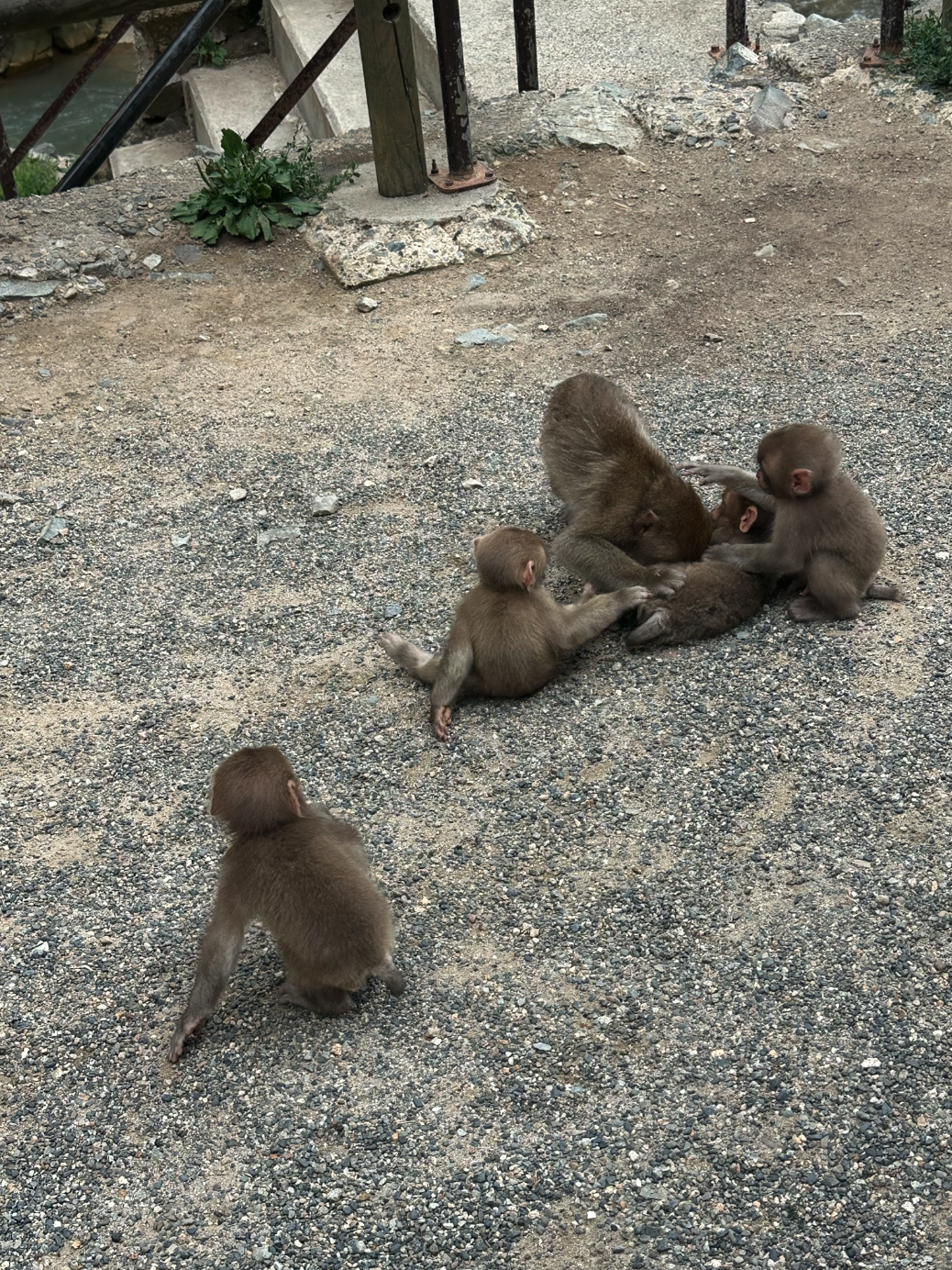 Screenshot 2024-09-17 at 1.38.54 PM.png