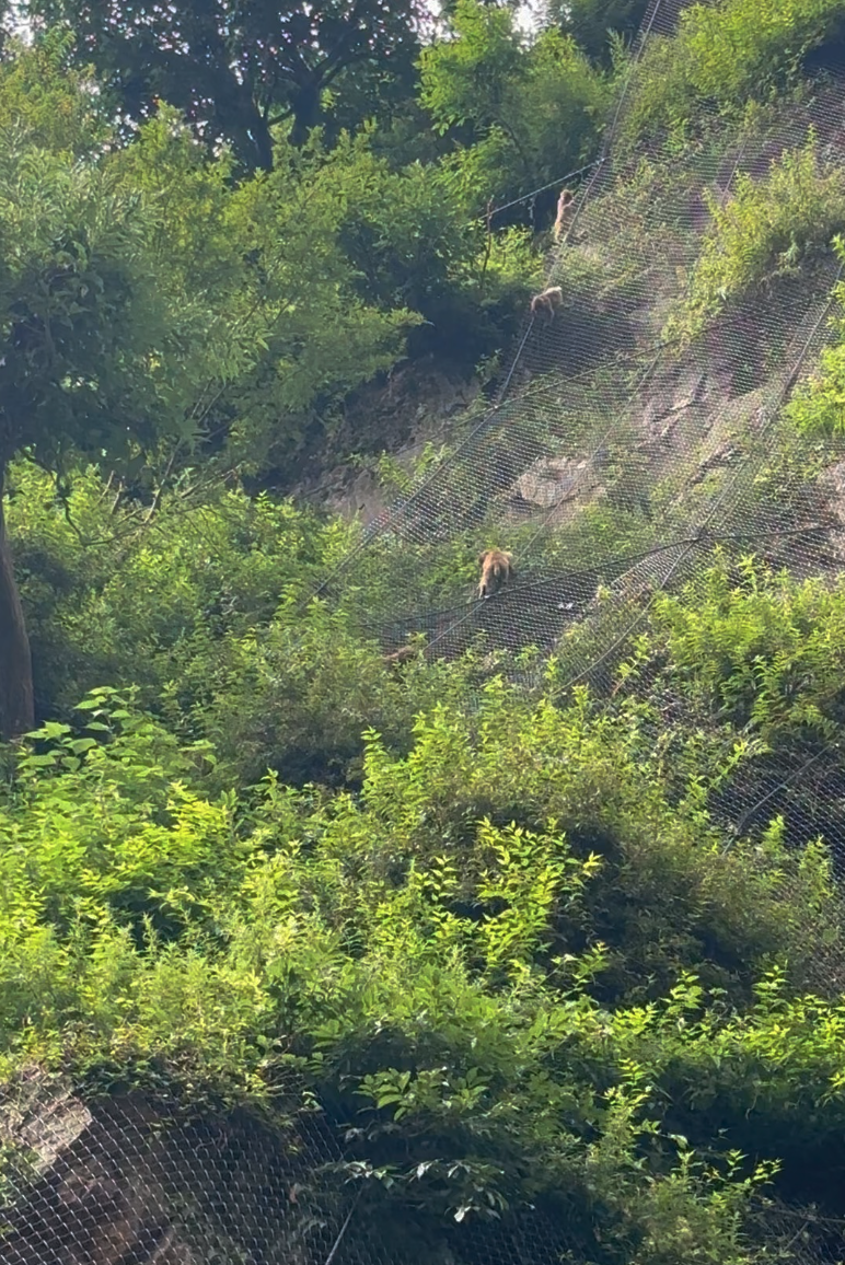 Screenshot 2024-09-17 at 1.41.26 PM.png