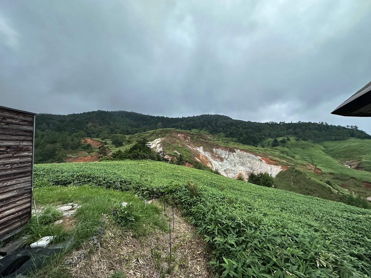 Screenshot 2024-10-06 at 6.30.05 AM.png