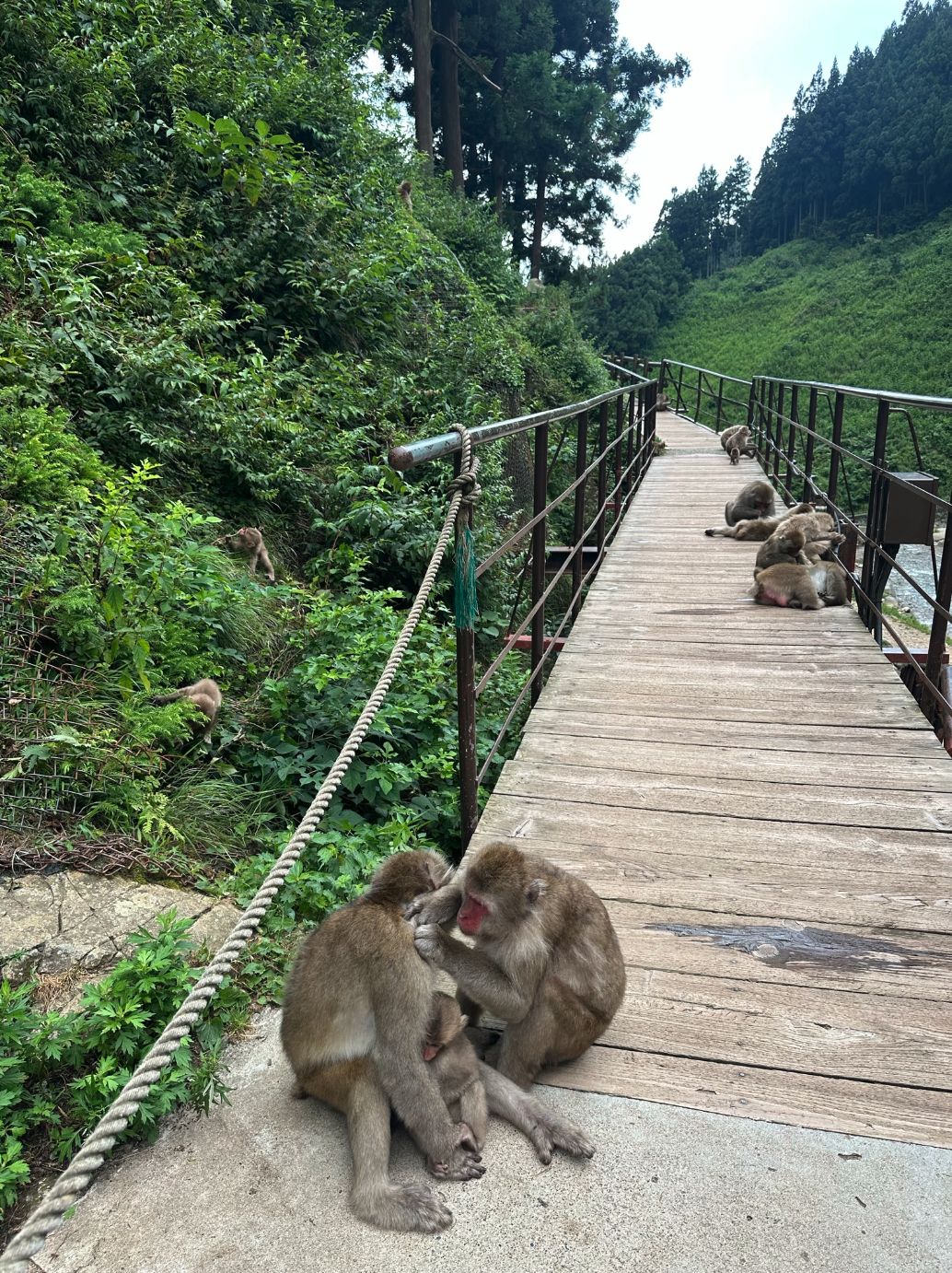 Screenshot 2024-09-17 at 1.38.41 PM.png