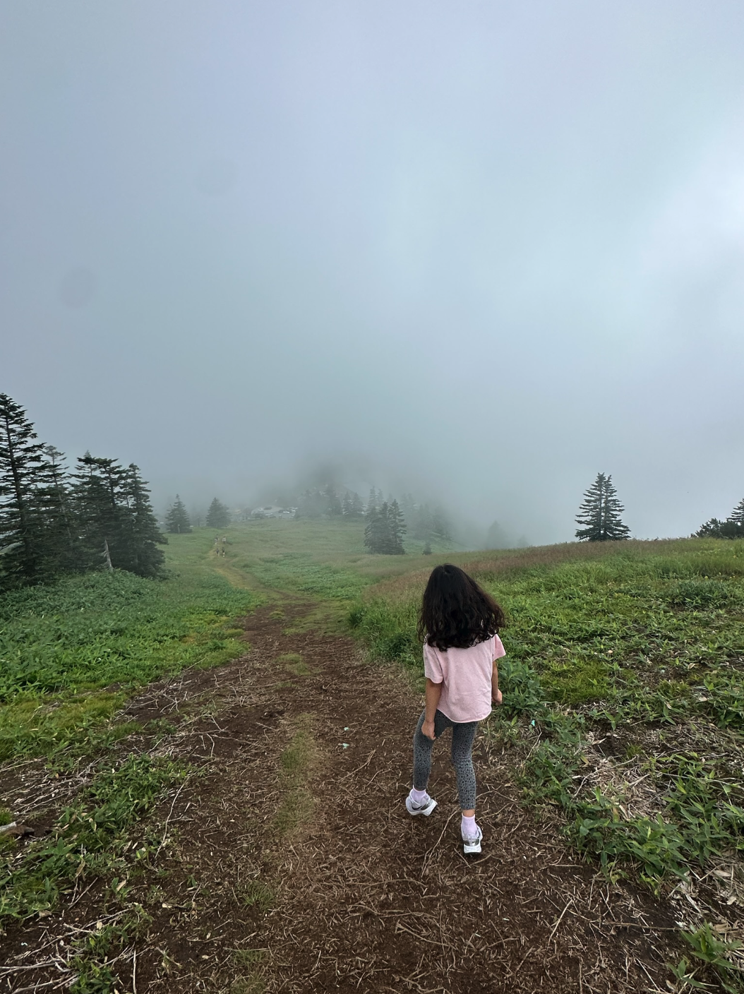 Screenshot 2024-10-06 at 6.43.50 AM.png