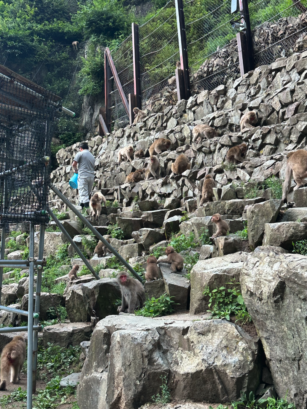 Screenshot 2024-09-17 at 1.41.12 PM.png