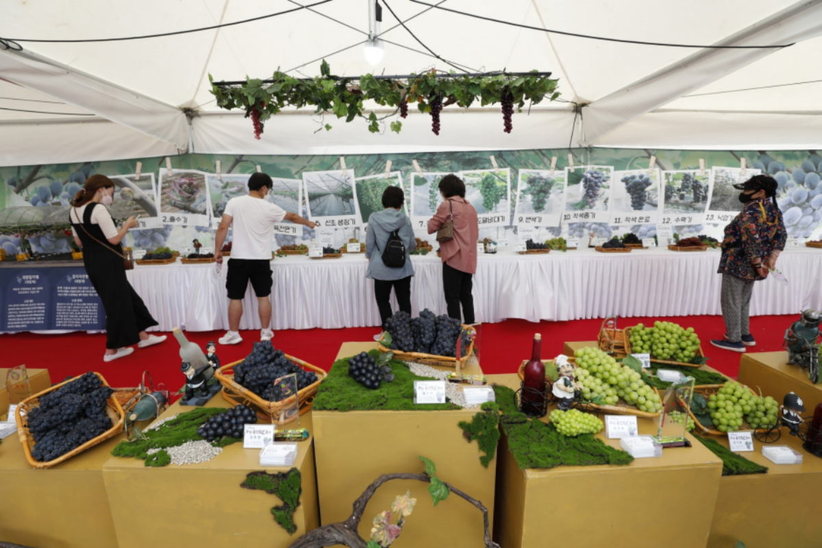 batch_[공공누리 Type3]2996944_image2_1_image.png