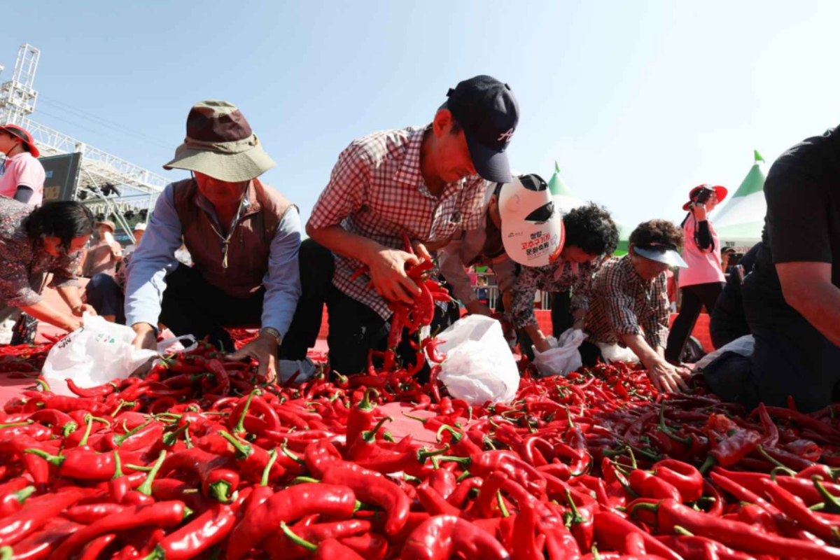 batch_[공공누리 Type3]3338621_image2_1_image.png