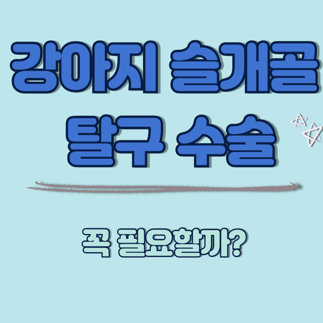 제목을 입력해주세요_-001 (18).png