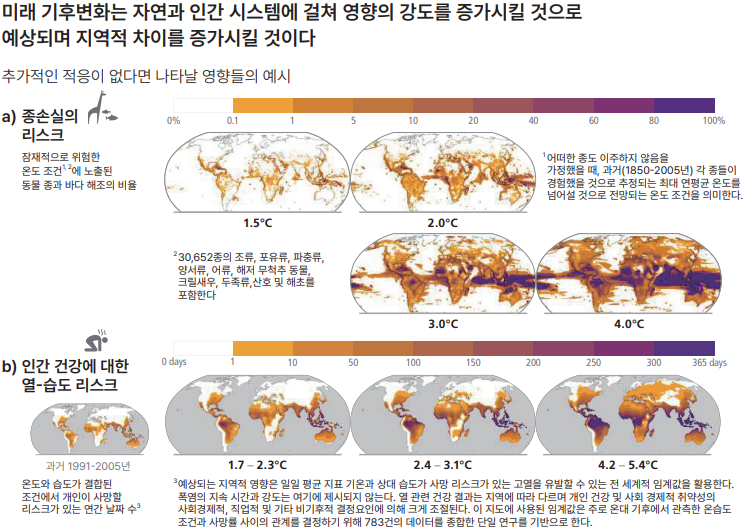 화면 캡처 2026-01-14 091740.png