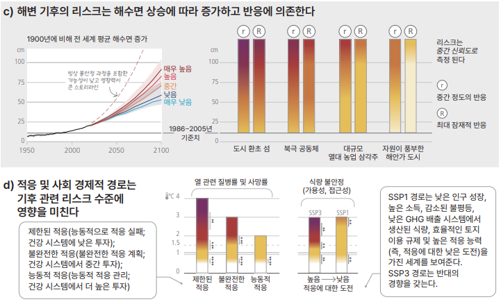 화면 캡처 2026-01-14 093200.png