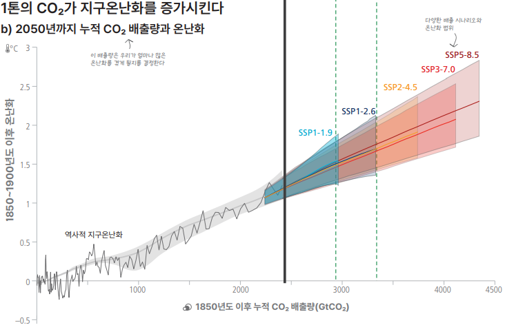 화면 캡처 2026-01-16 214812.png