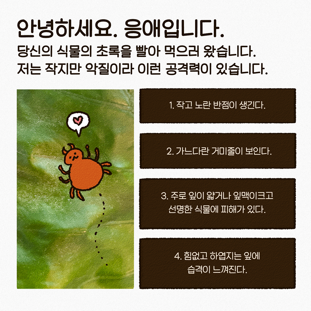 24-초록루팡응애2-2.png