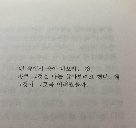 화면 캡처 2025-02-26 000030.png