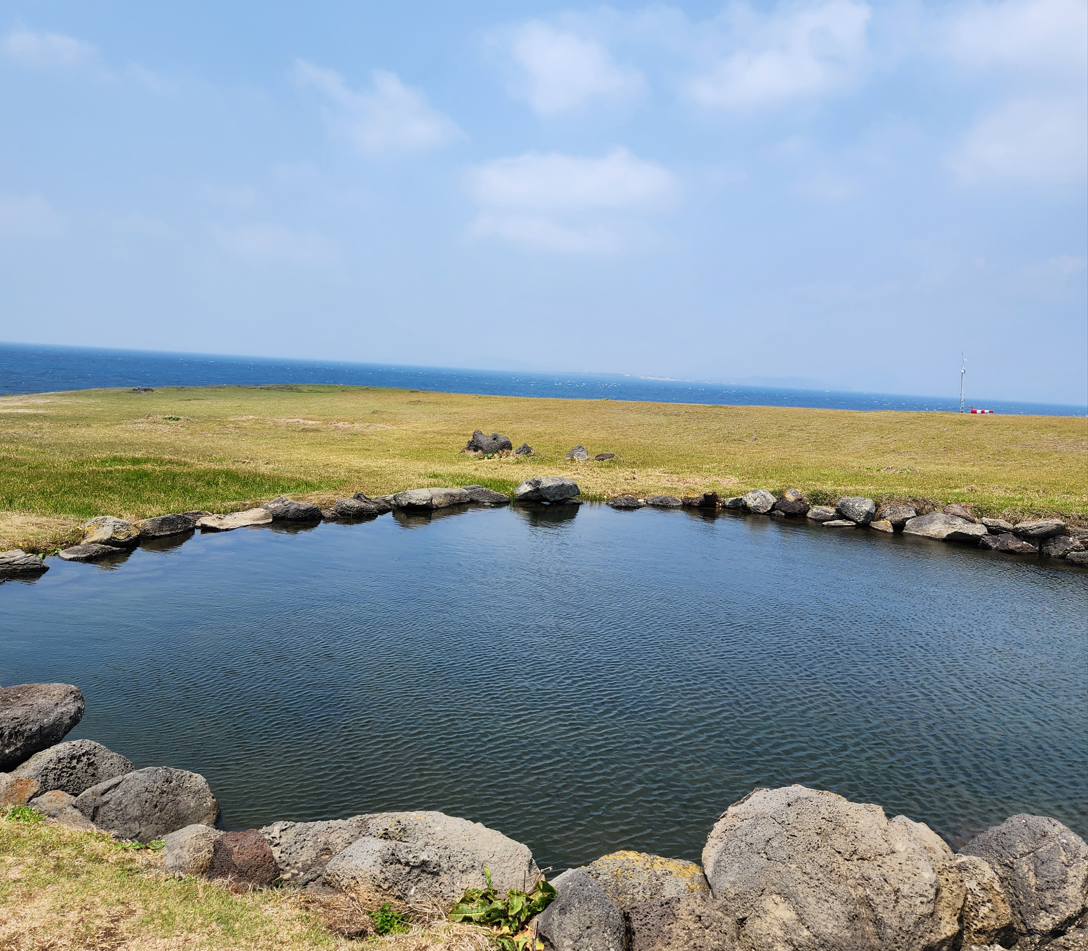 스크린샷 2023-10-19 024811.png