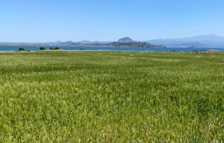 스크린샷 2023-10-19 030603.png