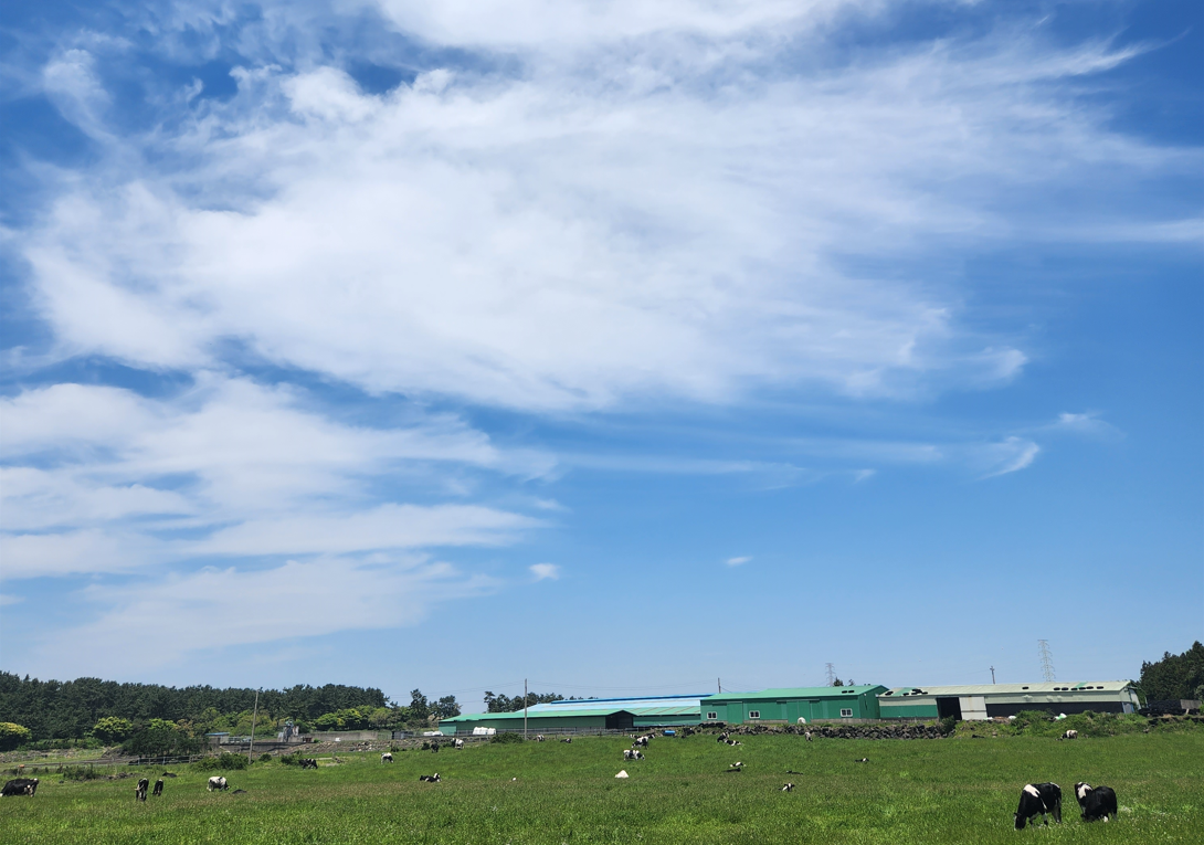 스크린샷 2023-10-20 010645.png