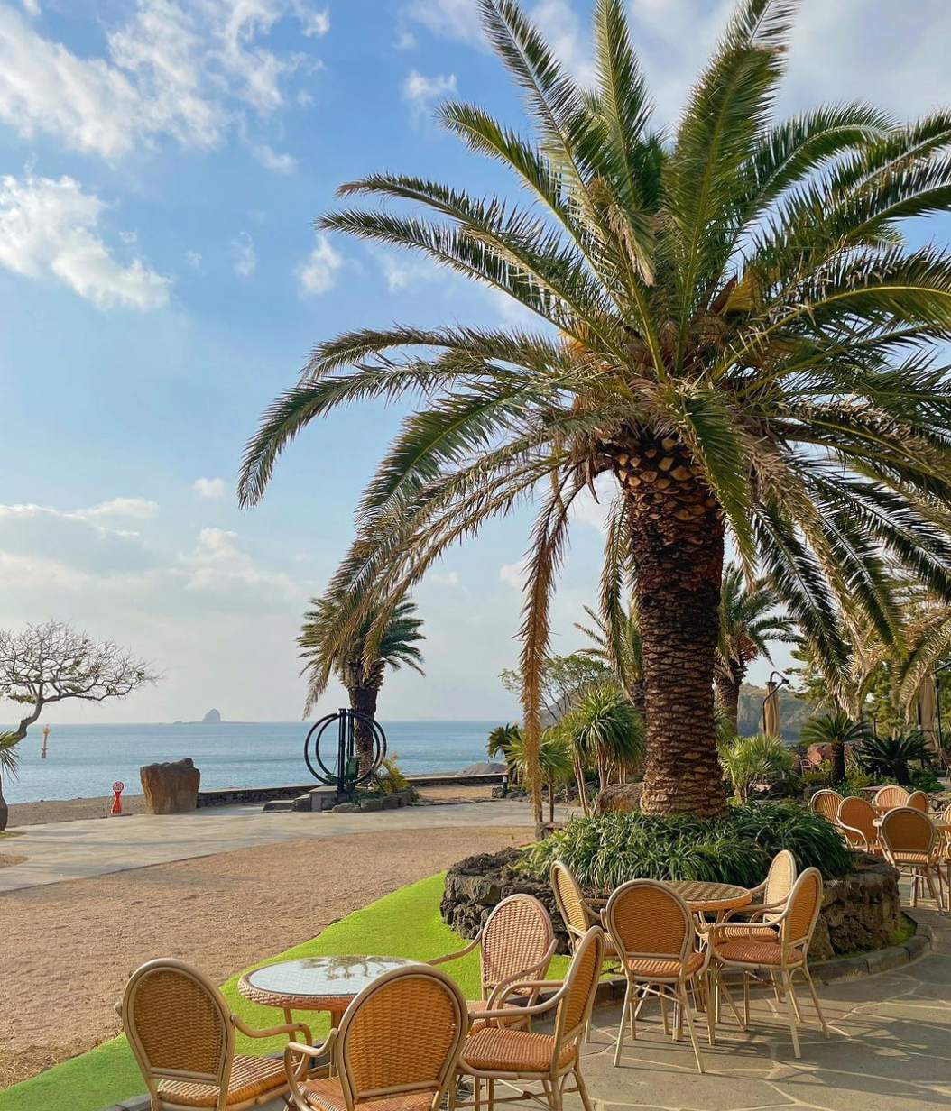 스크린샷 2023-10-20 013909.png