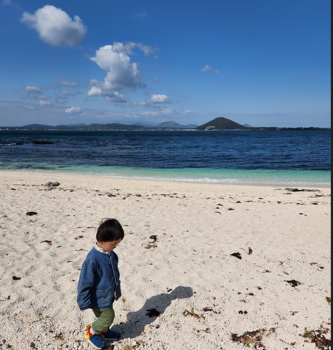 스크린샷 2023-10-19 021946.png