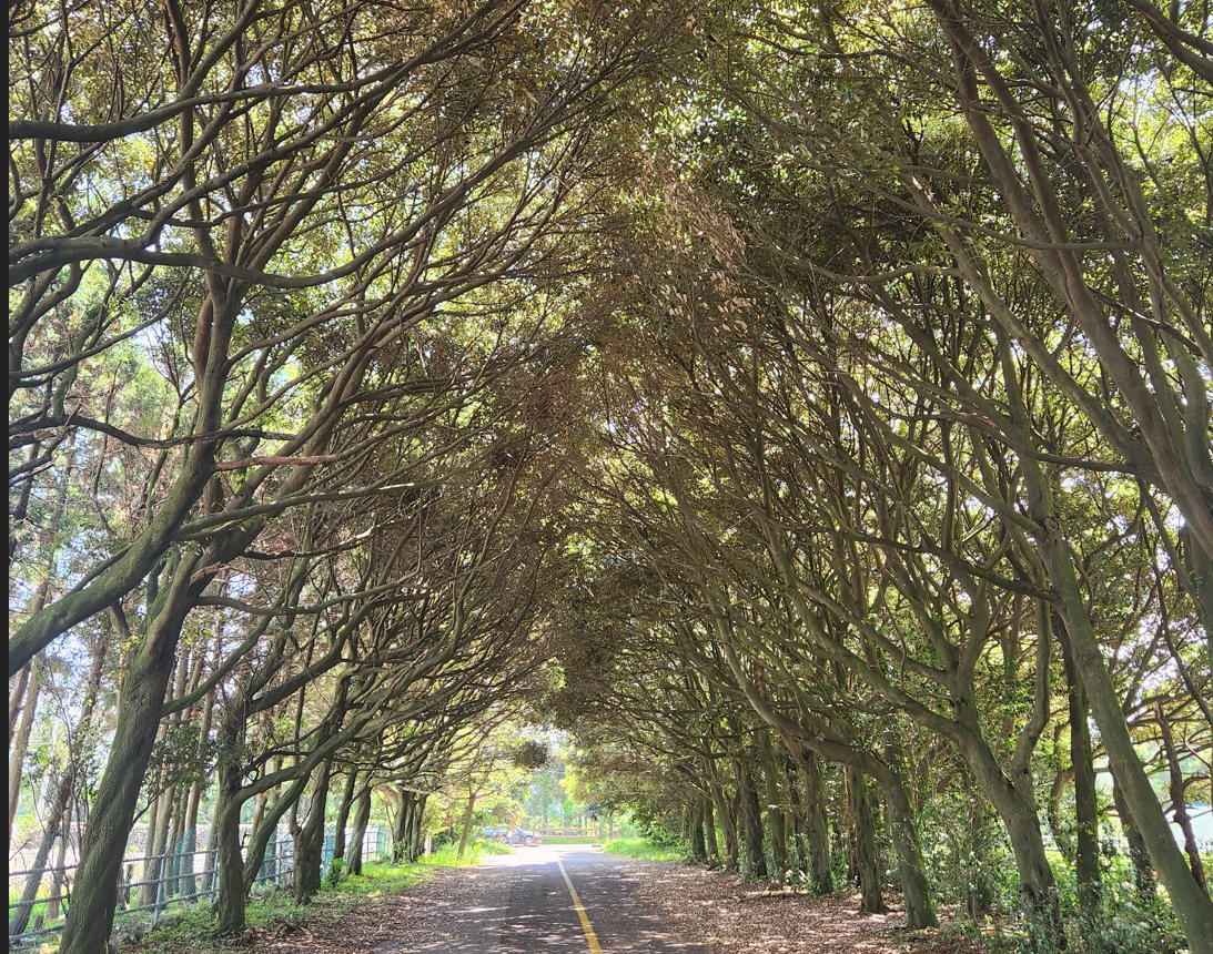 스크린샷 2023-10-20 010700.png