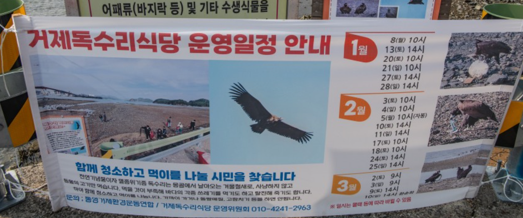 독수리 식당3.png