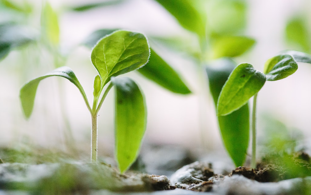 스크린샷 2024-07-03 131759.png