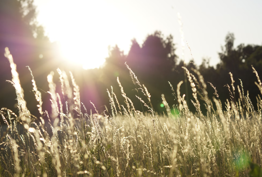 스크린샷 2024-07-03 132723.png