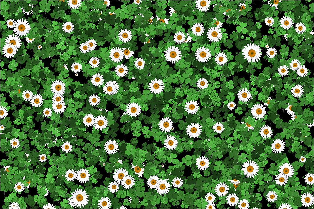 daisies-7541753_1280.png
