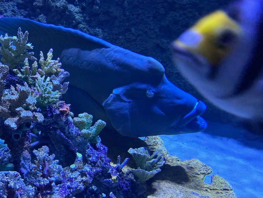 스크린샷 2024-08-28 오전 12.01.48.png