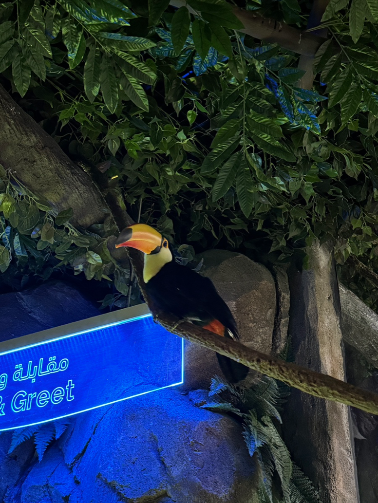 스크린샷 2024-08-28 오전 12.02.24.png