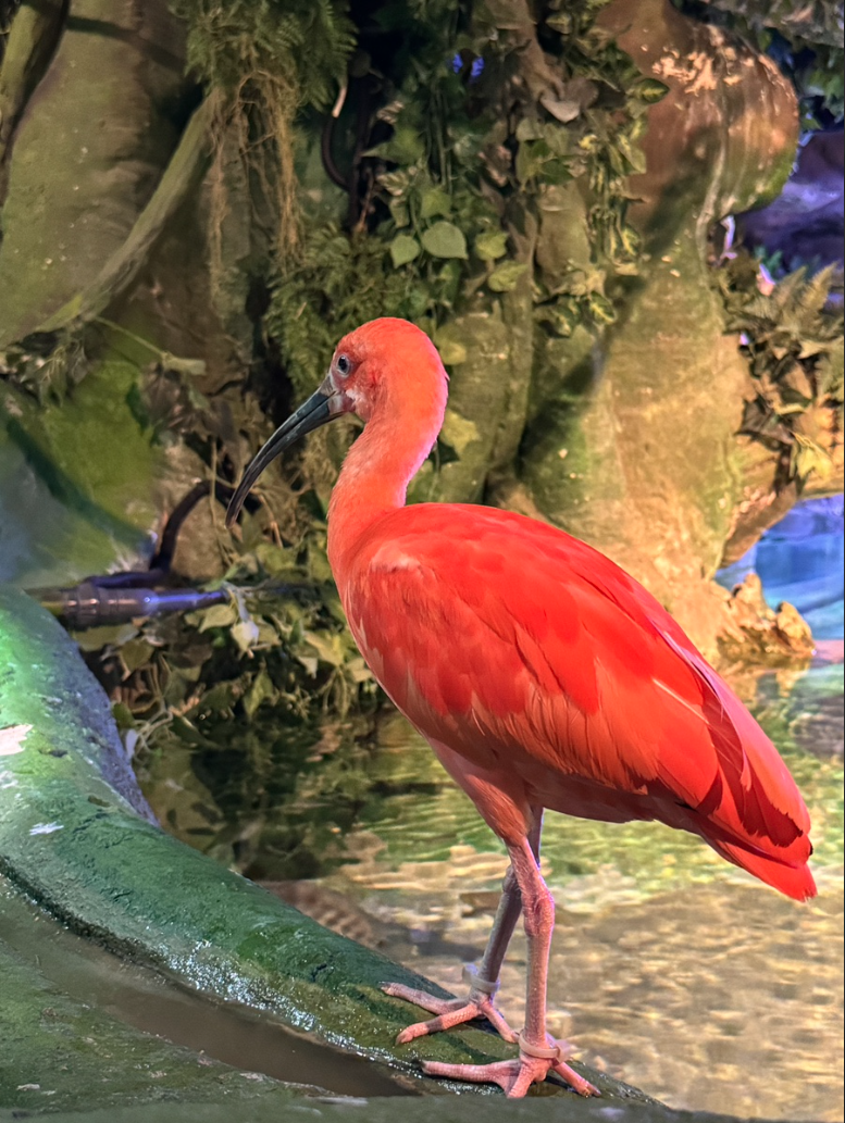 스크린샷 2024-08-28 오전 12.02.12.png