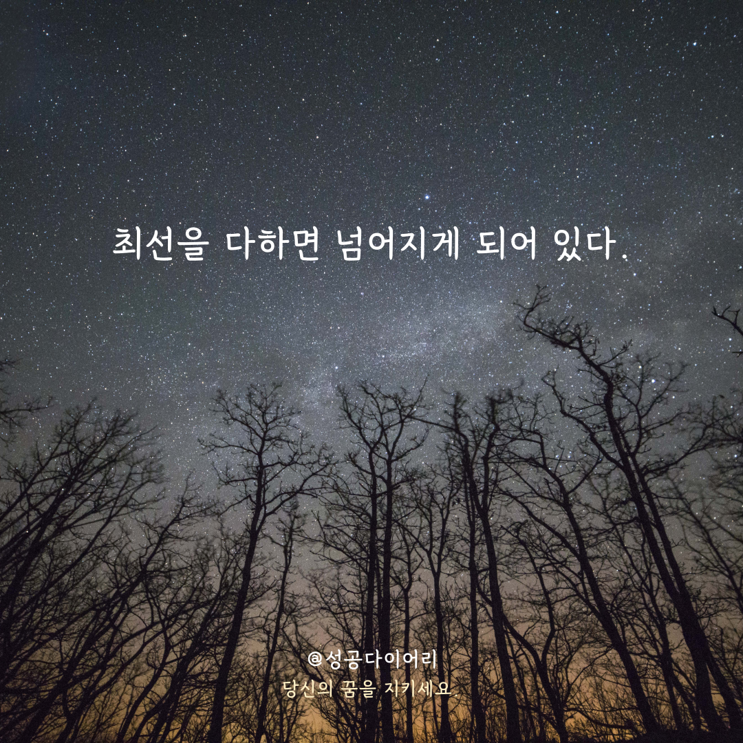 성공다이어리 (2).png