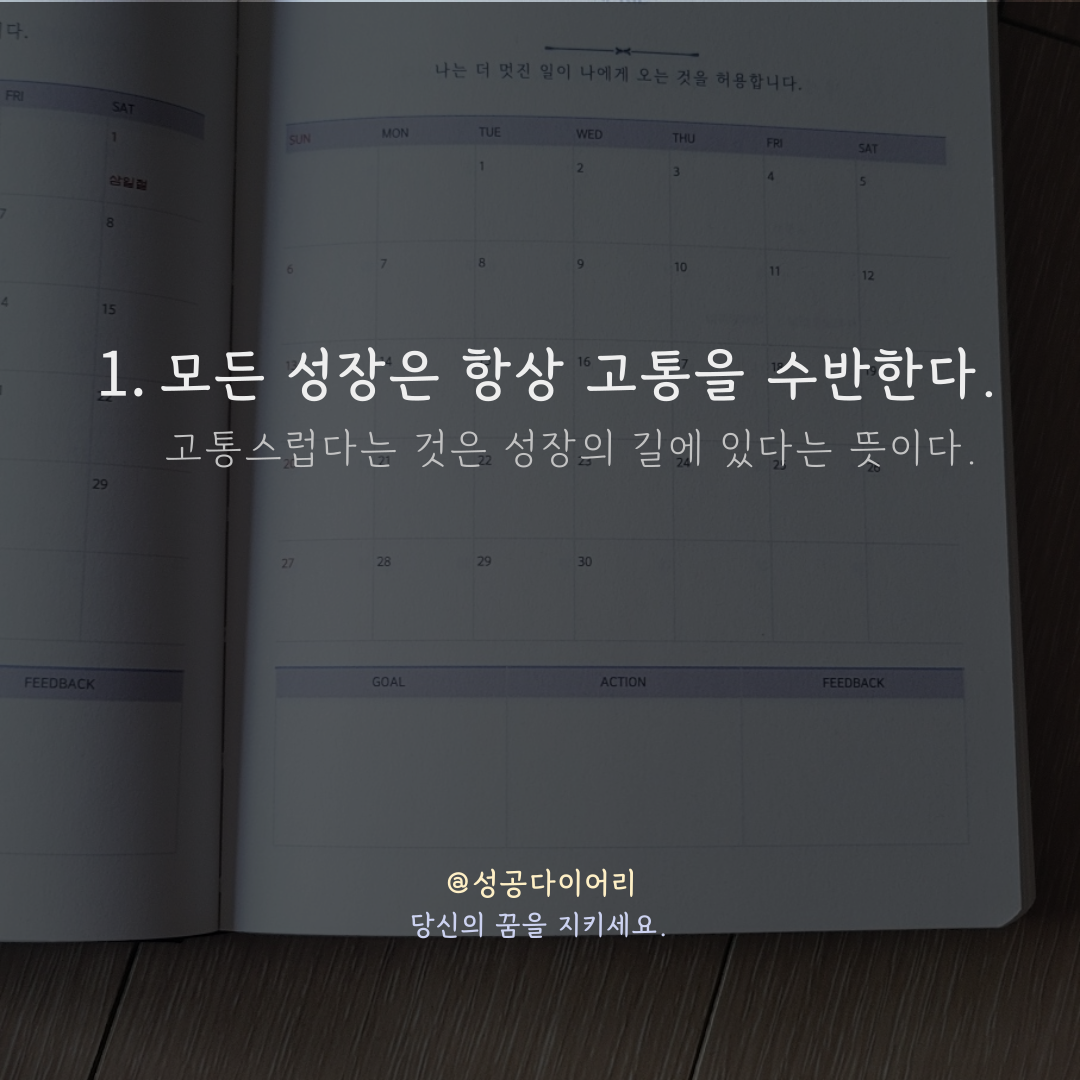 성공다이어리 (3).png