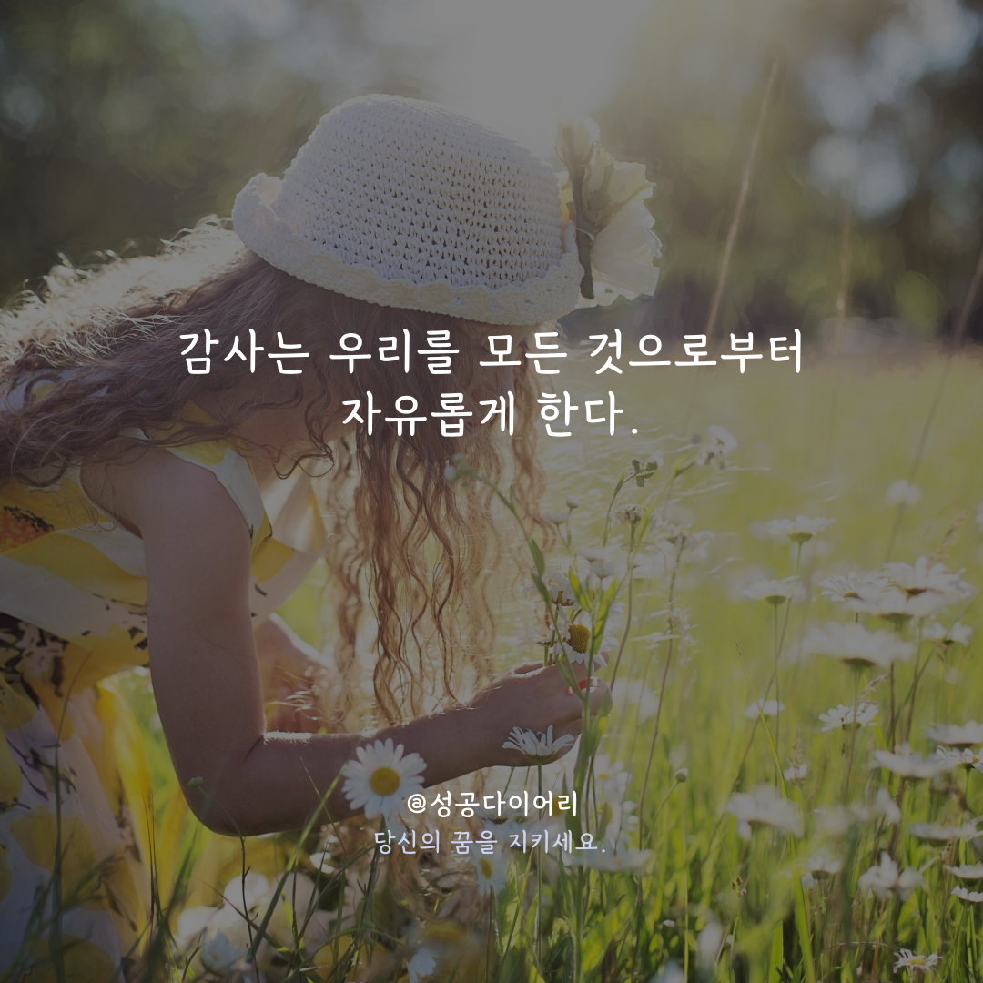 성공다이어리 (6).png