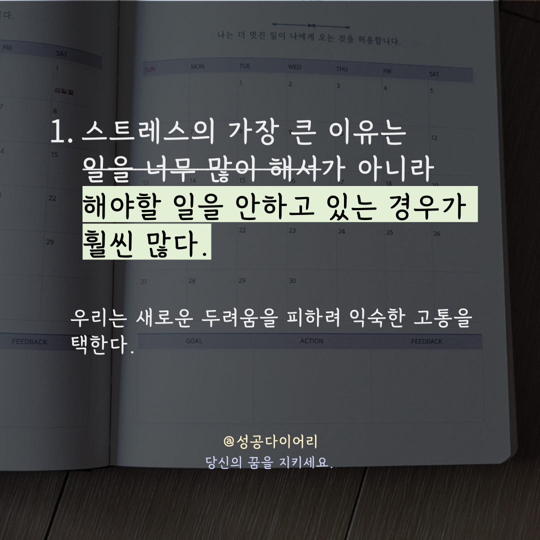 성공다이어리 (2).png