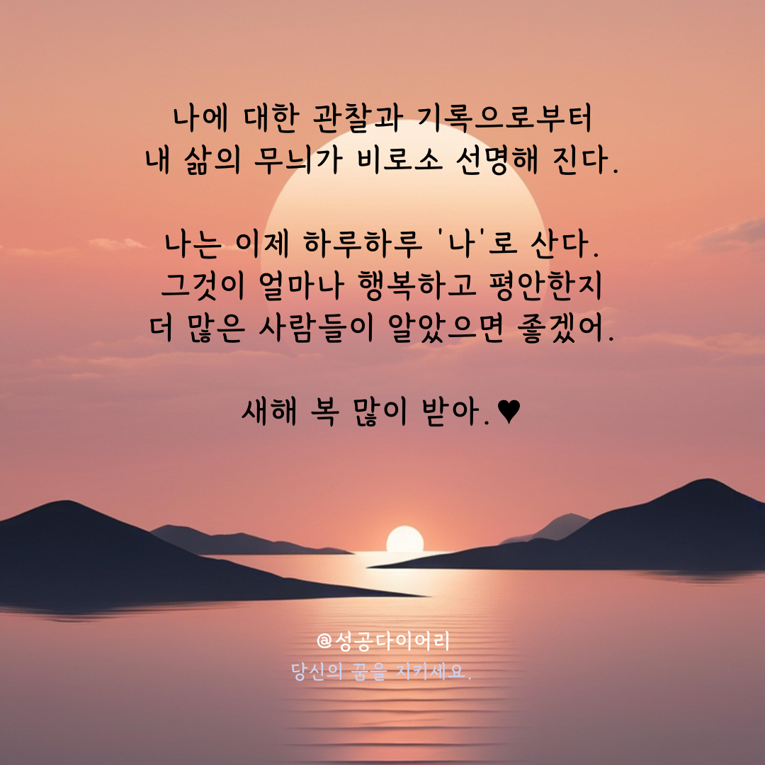 성공다이어리 (7).png