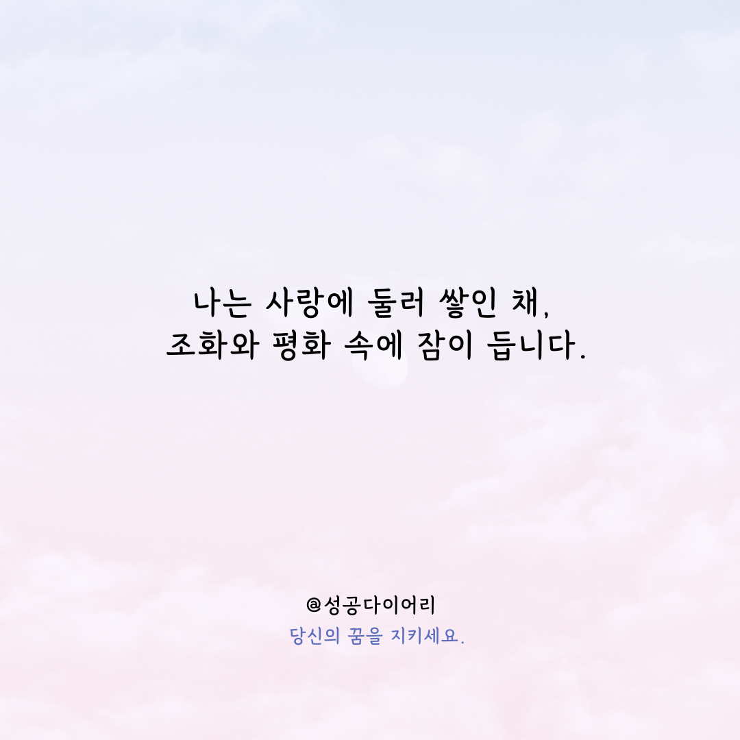 성공다이어리 (5).png