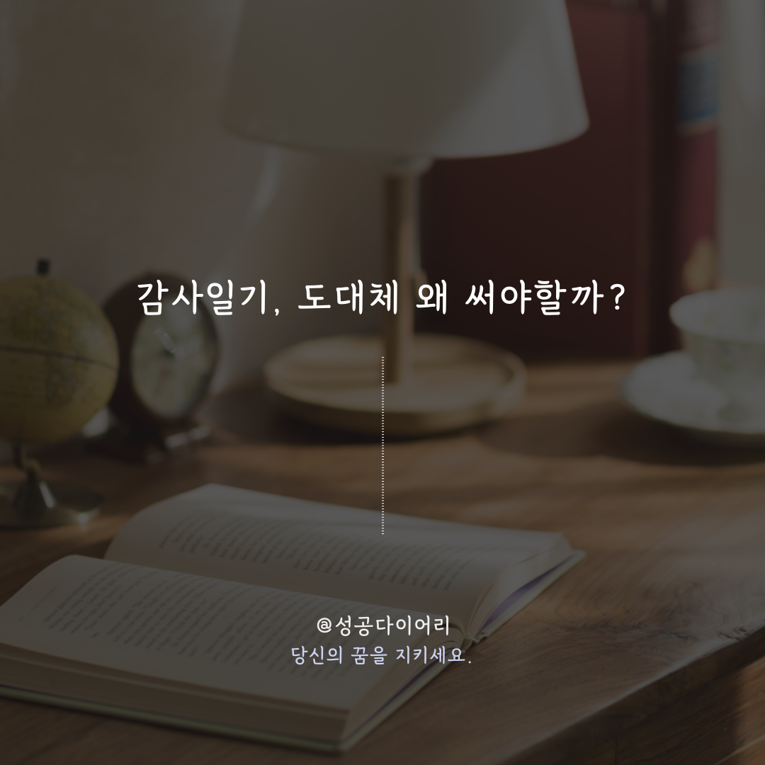 성공다이어리 (1).png