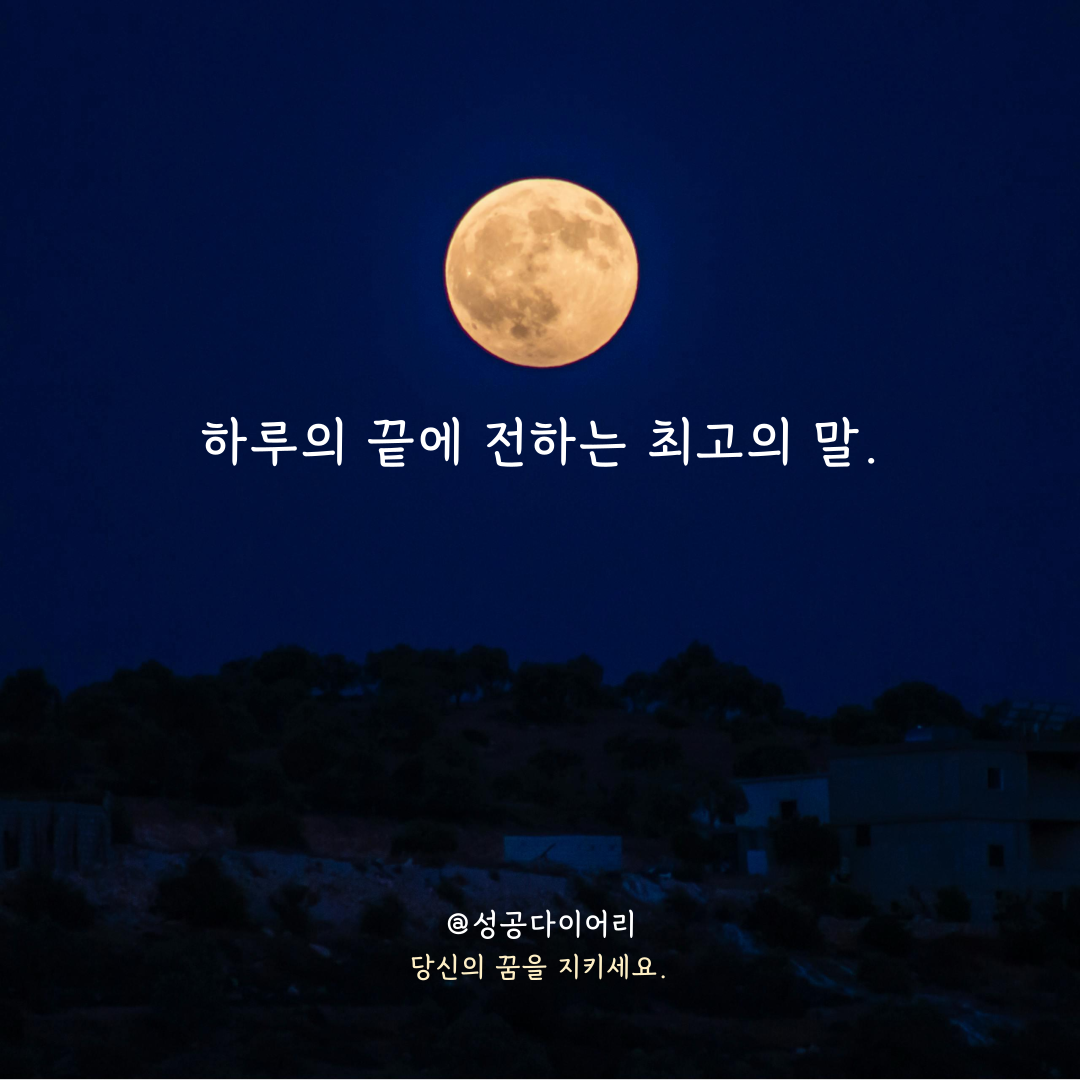 성공다이어리 (1).png