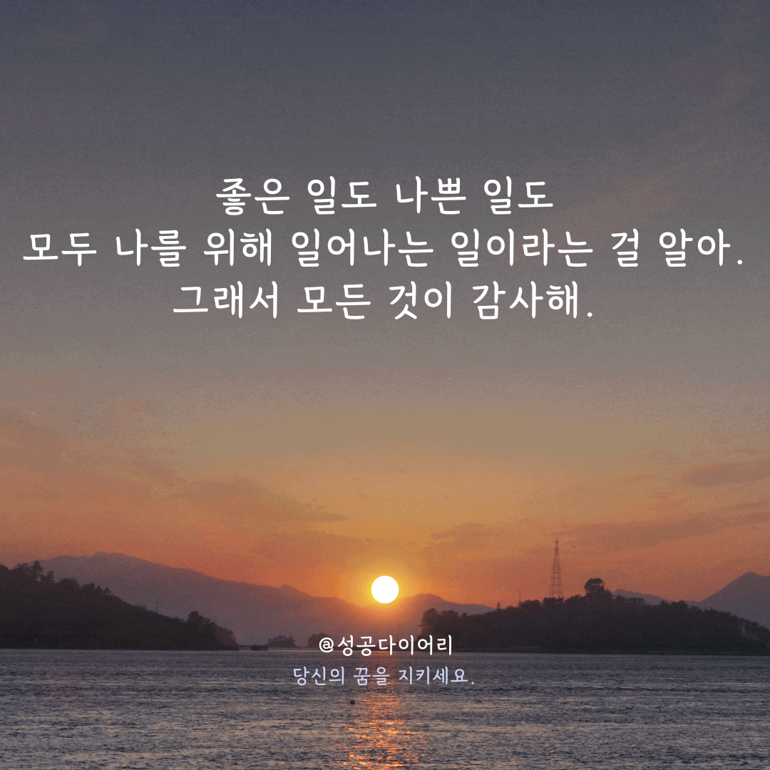 성공다이어리 (3).png