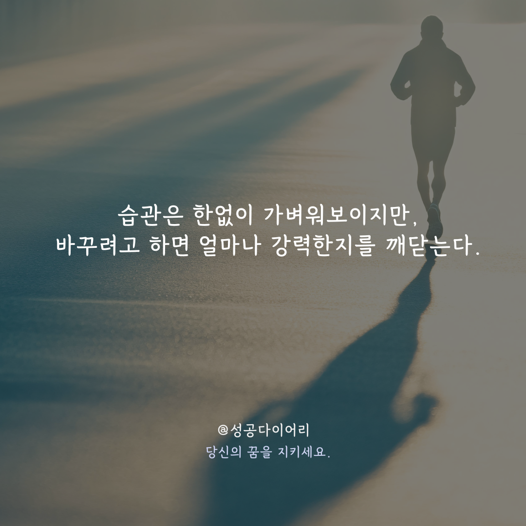 성공다이어리 (1).png